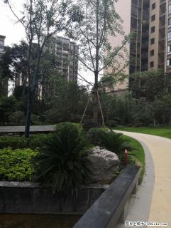 秀峰阳江路彰泰桃源居 3房2厅2卫 128平106万 清水高层 - 桂林28生活网 www.28life.com