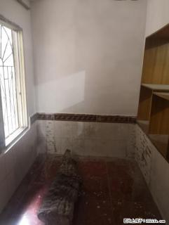 乐群学区 西凤路 2房1厅 60平实用80平52万 有小院杂物间 - 桂林28生活网 www.28life.com