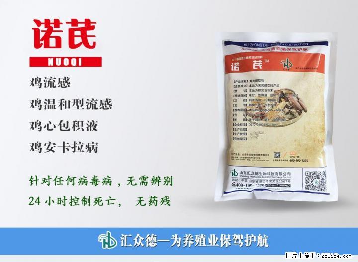 鸡气囊炎如何防治?用鸡气囊炎特效药诺芪 - 牲畜 - 农林牧渔 - 桂林分类信息 - 桂林28生活网 www.28life.com