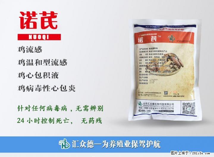 教你一招三天治好肉鸡新城疫 - 牲畜 - 农林牧渔 - 桂林分类信息 - 桂林28生活网 www.28life.com