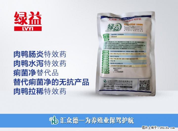 你是这么治疗鸭子中后期肠炎水泻的吗 - 牲畜 - 农林牧渔 - 桂林分类信息 - 桂林28生活网 www.28life.com
