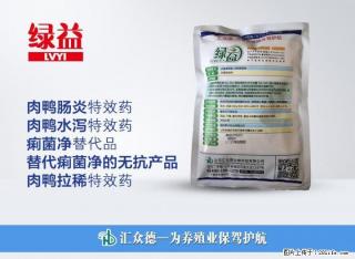 肉鸭中后期出现肠炎水泻你是这么用药的吗？ - 桂林28生活网 www.28life.com