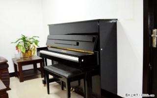 STRAUSS施特劳斯钢琴成人家用初学考级专用 - 桂林28生活网 www.28life.com