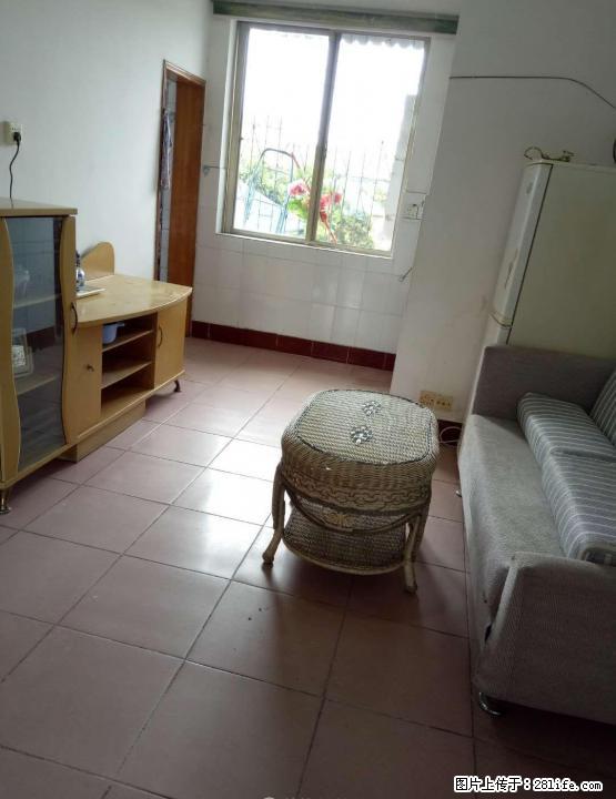 翠竹路威达集团北宿舍区整套房出租 - 房屋出租 - 房屋租售 - 桂林分类信息 - 桂林28生活网 www.28life.com