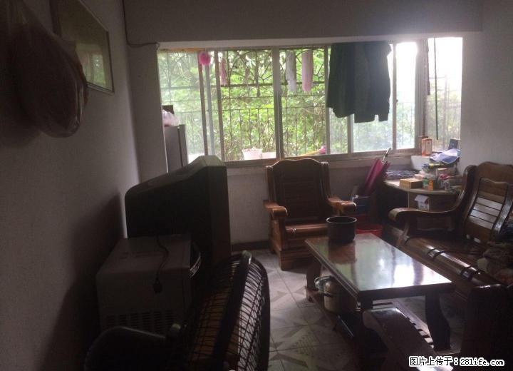 雉山路原七中对面宁远河边二房一厅低价急售 - 房屋出售 - 房屋租售 - 桂林分类信息 - 桂林28生活网 www.28life.com