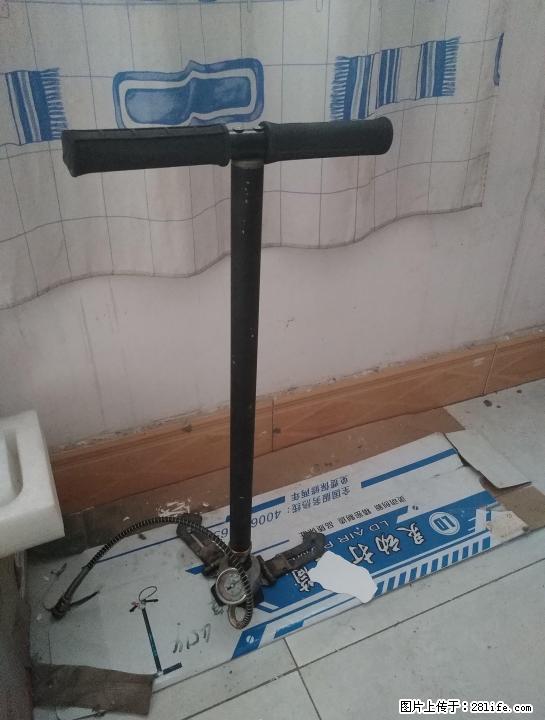 弹弓当铁卖亏本吐血了 - 宠物交易 - 宠物信息 - 桂林分类信息 - 桂林28生活网 www.28life.com