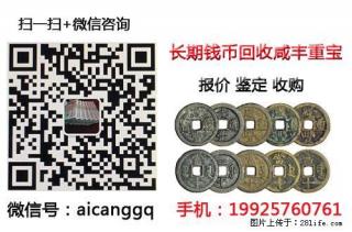 收购宝苏当十爪贝价格,哪里高价回收宝昌当五十凤尾昌 - 桂林28生活网 www.28life.com