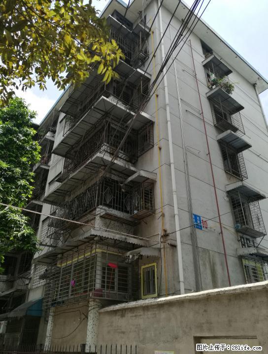 (急售) 铁西四里10栋4楼正南北107平3房2厅1卫17中铁西小学西门铁西菜市 - 房屋出售 - 房屋租售 - 桂林分类信息 - 桂林28生活网 www.28life.com