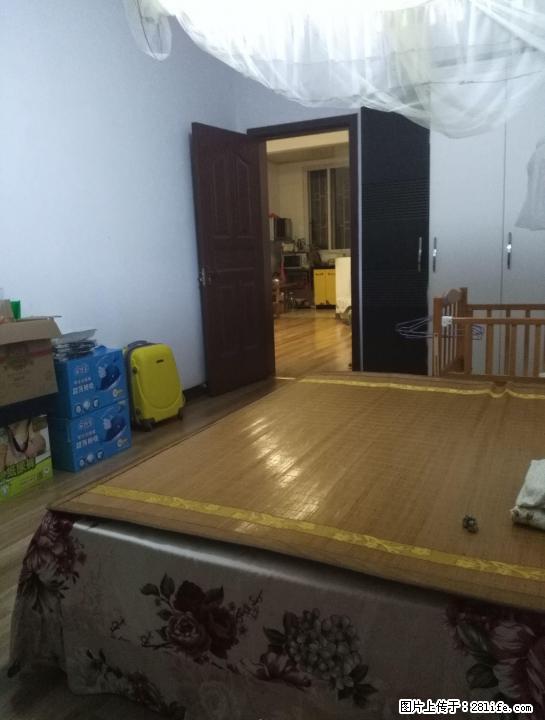 非中介自建房两房一厅出租 - 房屋出租 - 房屋租售 - 桂林分类信息 - 桂林28生活网 www.28life.com