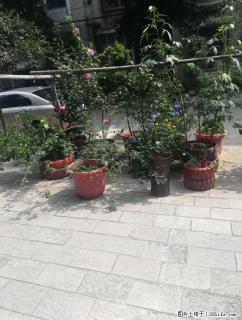 七星区普陀路汇通小学羊角山小区2房62平39.5万 - 桂林28生活网 www.28life.com