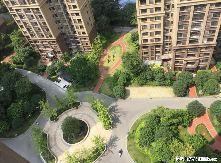 兴汇城全新精装修3房2厅2卫电梯房19楼 - 房屋出租 - 房屋租售 - 桂林分类信息 - 桂林28生活网 www.28life.com