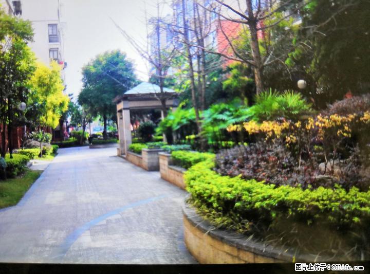 临桂金山路147号果岭春天 - 房屋出租 - 房屋租售 - 桂林分类信息 - 桂林28生活网 www.28life.com