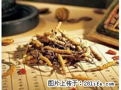 桂林高价回收冬虫夏草13611114534收购海参 - 礼品刀具 - 特色礼品 - 桂林分类信息 - 桂林28生活网 www.28life.com