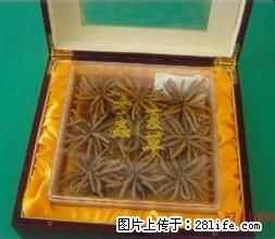 《桂林回收冬虫夏草》13611114534(回收断草)礼品 - 桂林28生活网 www.28life.com