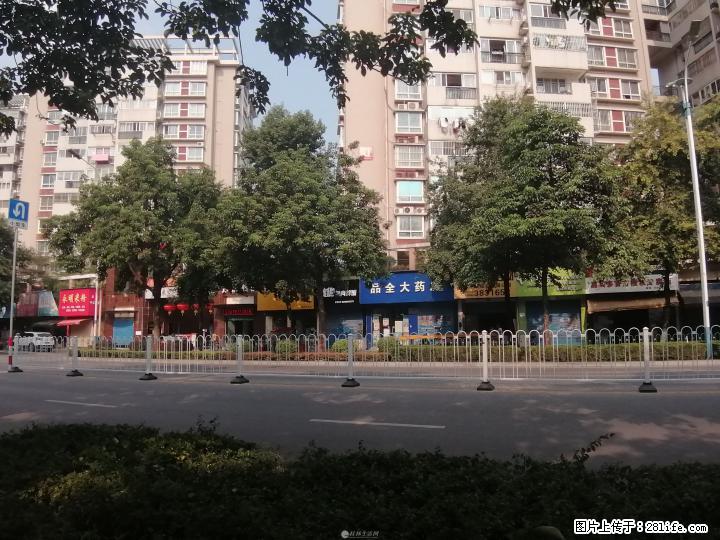 安厦尚城风景当街旺铺55平100万月租3000一个月 - 商铺租转 - 房屋租售 - 桂林分类信息 - 桂林28生活网 www.28life.com