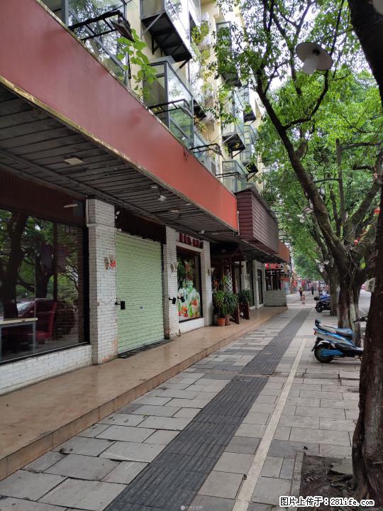 出租660平象鼻山公园旁临街1楼门面可做餐饮 - 商铺租转 - 房屋租售 - 桂林分类信息 - 桂林28生活网 www.28life.com