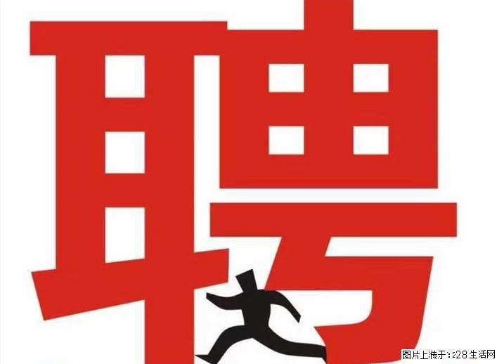 【空气速度体育用品】急招运营总监助理(可接受应届生) - 娱乐/休闲/体育 - 招聘求职 - 桂林分类信息 - 桂林28生活网 www.28life.com