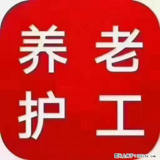 上海国企养老院，星级酒店环境，招聘养老护工