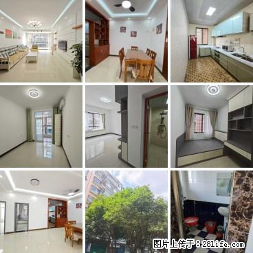 【九龙佳苑】步梯四楼，八里一路，119平方，超级大三房两卫，朝南户型，只要45.6万 - 家居生活 - 桂林生活社区 - 桂林28生活网 www.28life.com