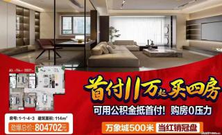 首付11万买万象城旁 四房，公积金抵首付+对冲月供！年轻一族的购房方式0压力