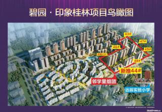 碧园印象桂林，44 号楼南门、远辰小学门口商铺预计5月29开盘，交5000意向金送三年物业费