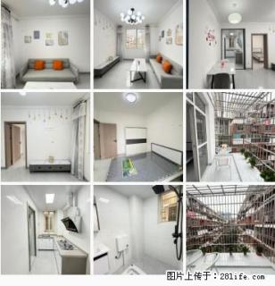 新出房源，降价急售【水榭花都 · 月季苑】标准1房1厅1厨1卫，送大阳台，一口价：11.8万