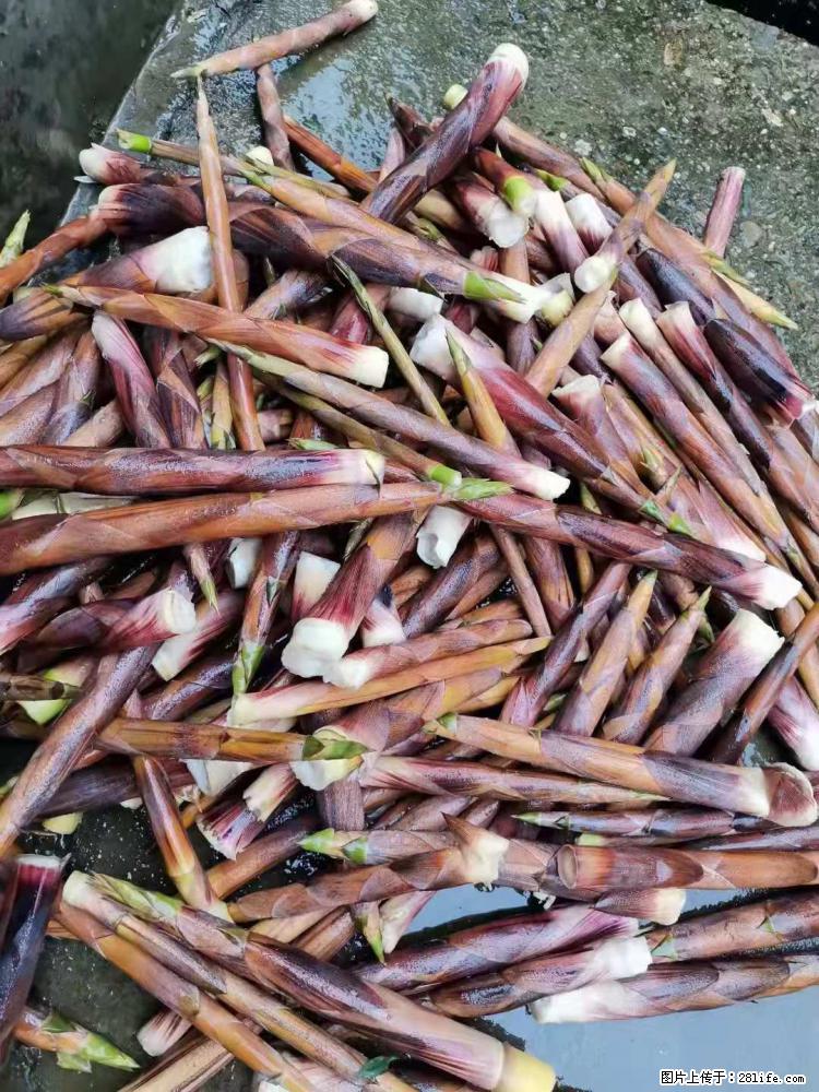 桂林市灵川县八里四路【全州醋血鸭】欧洲小镇店 - 美食天地 - 桂林生活社区 - 桂林28生活网 www.28life.com