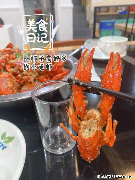 【桂林市·荣恒粤式乳鸽王·七星店】家门口就能吃到新鲜小龙虾,红烧脆皮乳鸽,美味又营养 - 美食天地 - 桂林生活社区 - 桂林28生活网 www.28life.com