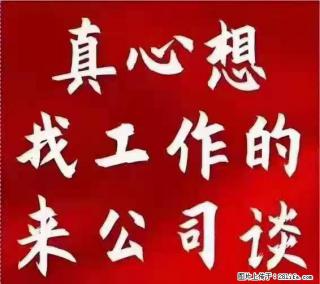 上海普陀区招绿化工，男，58岁以下，吃苦耐劳，学徒工5000元/月