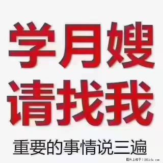 【招聘】月嫂，上海徐汇区