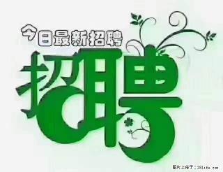 上海青浦区招仓管