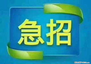 招财务，有会计证的，熟手会计1.1万底薪，上海五险一金，包住，包工作餐，做六休一