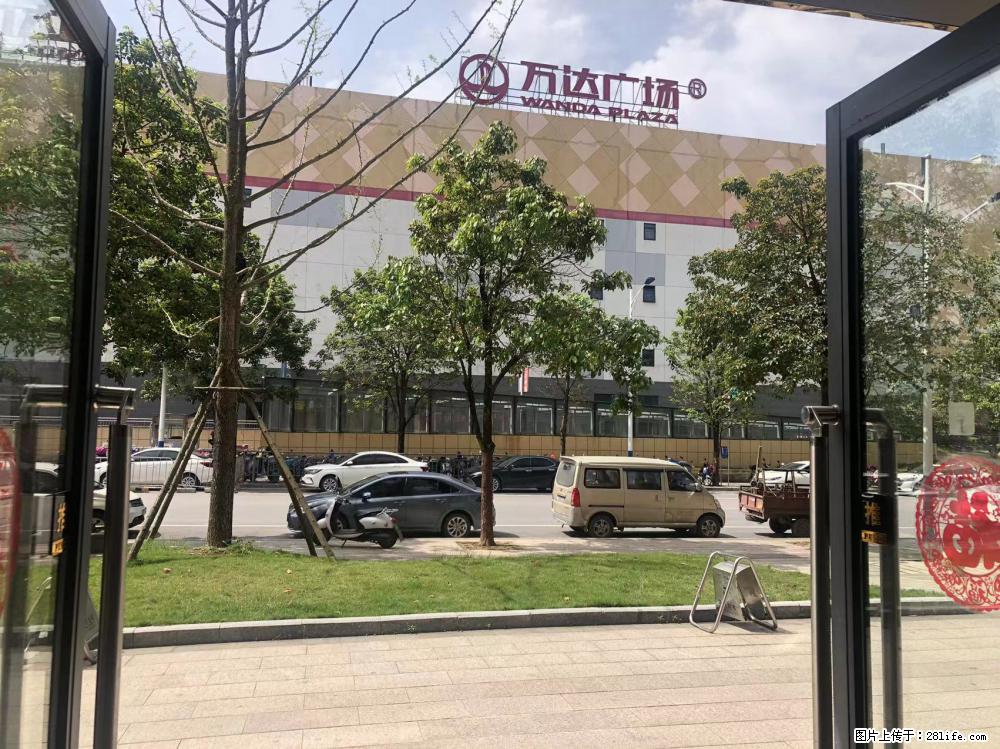 【连茗普洱】云南普洱茶源头厂家，桂林分店，批发 - 美食天地 - 桂林生活社区 - 桂林28生活网 www.28life.com