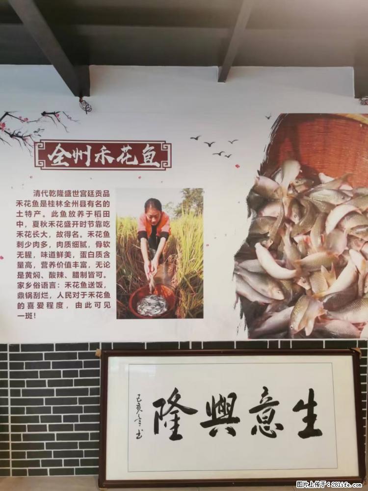 灵川县网红餐厅，全州特色土菜馆，生意火爆，欢迎提前预约留位喔 - 其他广告 - 广告专区 - 桂林分类信息 - 桂林28生活网 www.28life.com