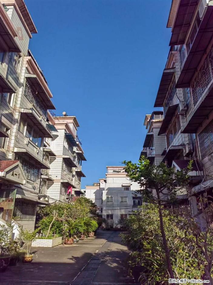 出价就租【西门菜市楼上】120平米三房两厅两卫出租,楼梯四楼,闹中取静 - 家居生活 - 桂林生活社区 - 桂林28生活网 www.28life.com
