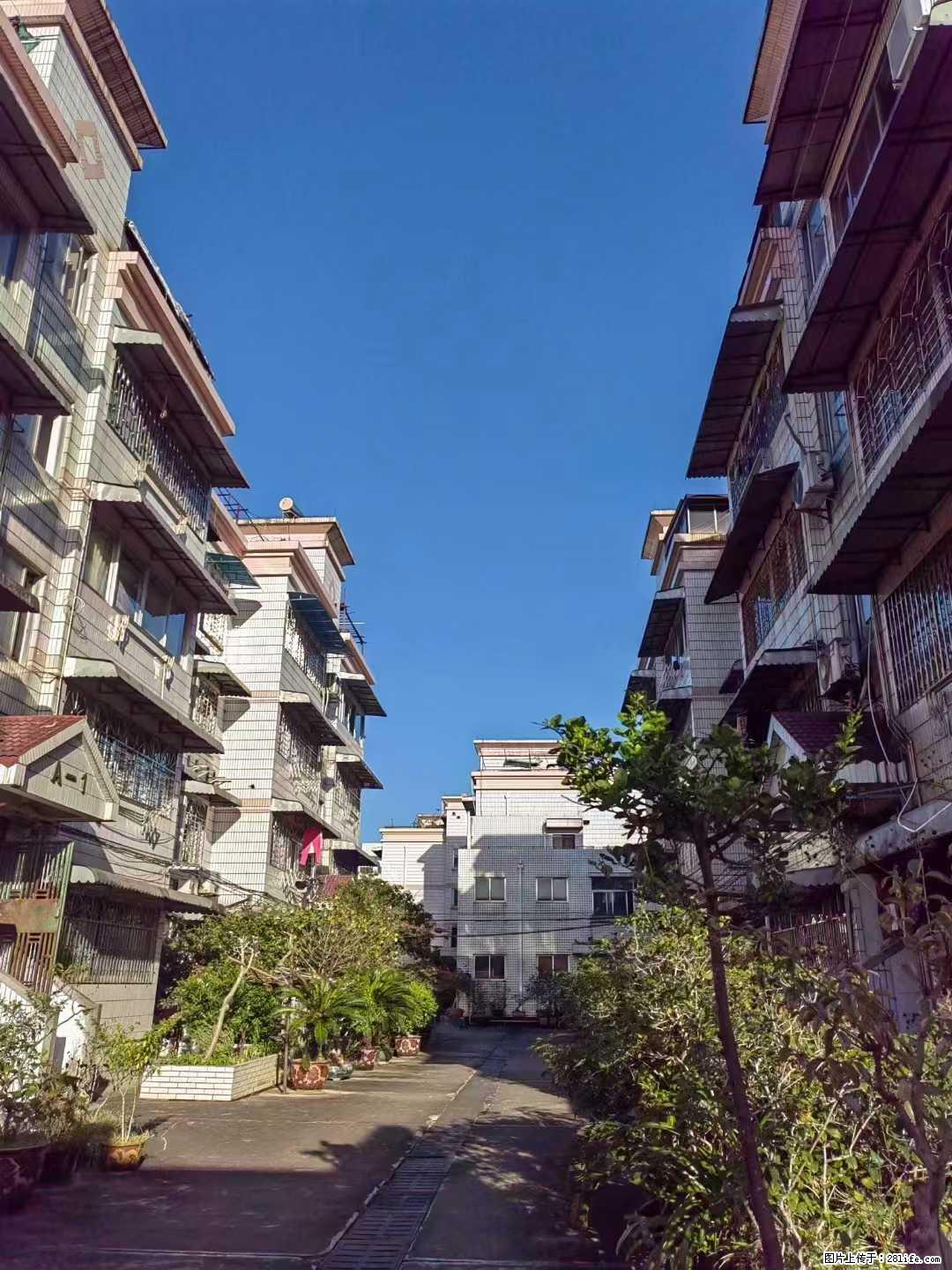 【西门菜市楼上】120平米三房两厅两卫出租,楼梯四楼,1500元/月 看房联系:小郭15877030 - 房屋出租 - 房屋租售 - 桂林分类信息 - 桂林28生活网 www.28life.com