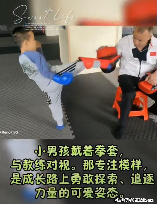 【振华武术搏击俱乐部】寒假班开始绍生啦!练武术,散打,搏击,从娃娃抓起。 - 其他广告 - 广告专区 - 桂林分类信息 - 桂林28生活网 www.28life.com