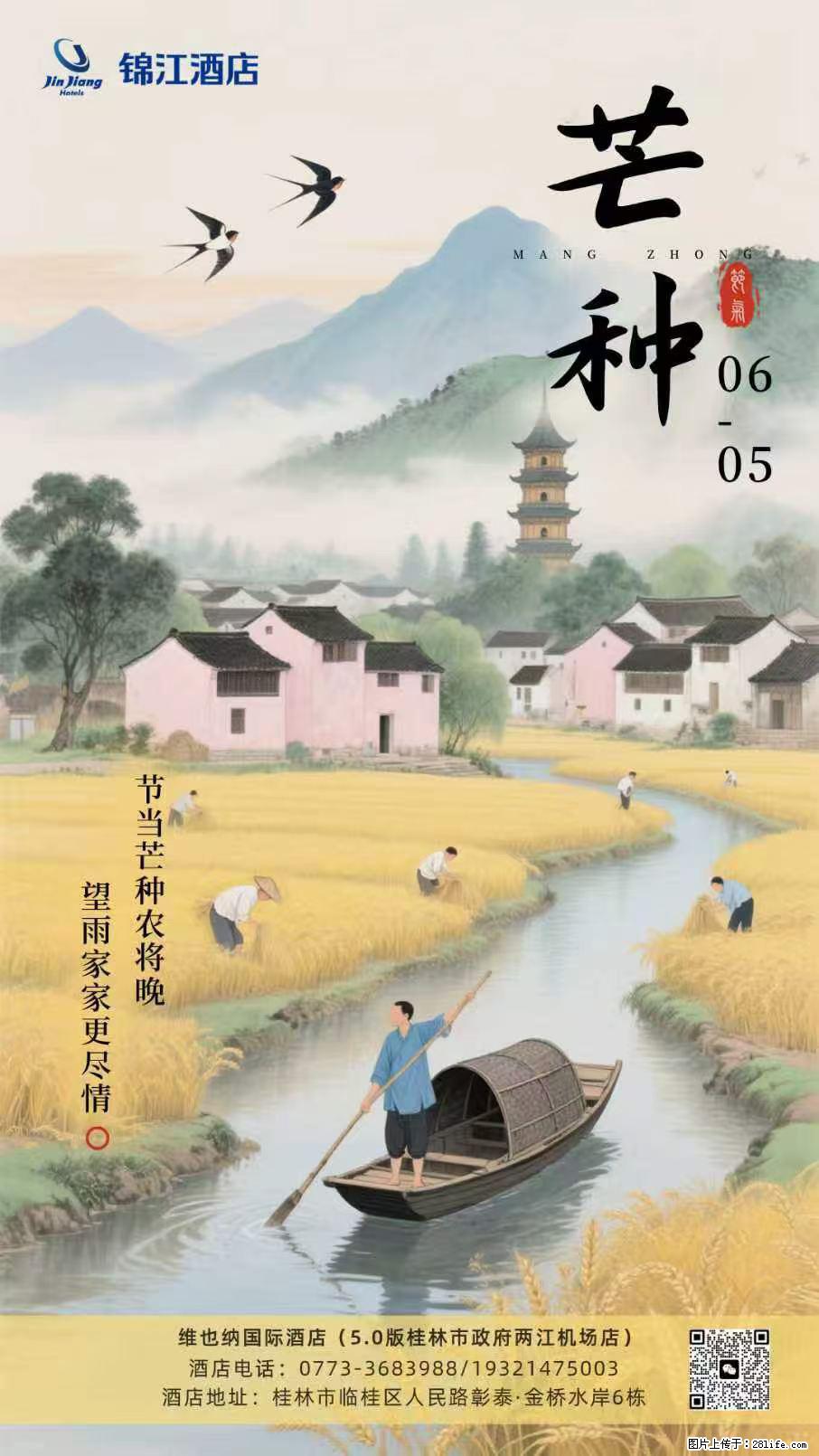 【维也纳国际酒店】²⁰²⁶/₀₆.₀₅芒种，芒种播下希望，盛夏自有回响 随日子慢慢长，待答案悄悄来 - 情感天地 - 桂林生活社区 - 桂林28生活网 www.28life.com