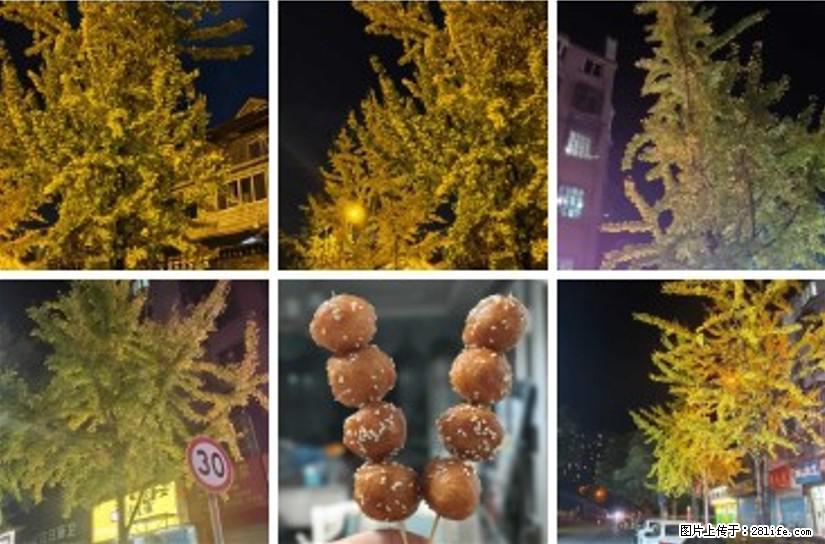 夜幕低垂，银杏染金，正如古人所云：“霜叶红于二月花”，而今秋叶黄胜春花，街头一串麻圆粑粑，甜糯如昔 - 灌水专区 - 桂林生活社区 - 桂林28生活网 www.28life.com