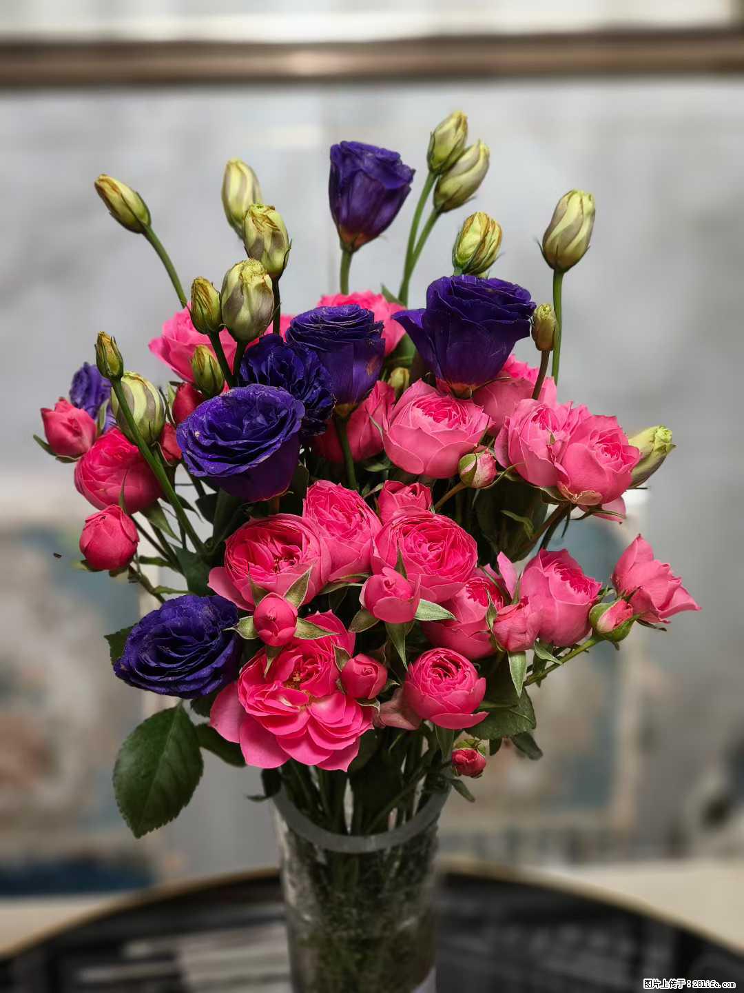 匆匆不觉冬已尽，岁月缓缓迎春归 ，让我们在这季节转角处，等一场春暖花开的盛宴。早安，烟雨蒙蒙的晨！ - 灌水专区 - 桂林生活社区 - 桂林28生活网 www.28life.com