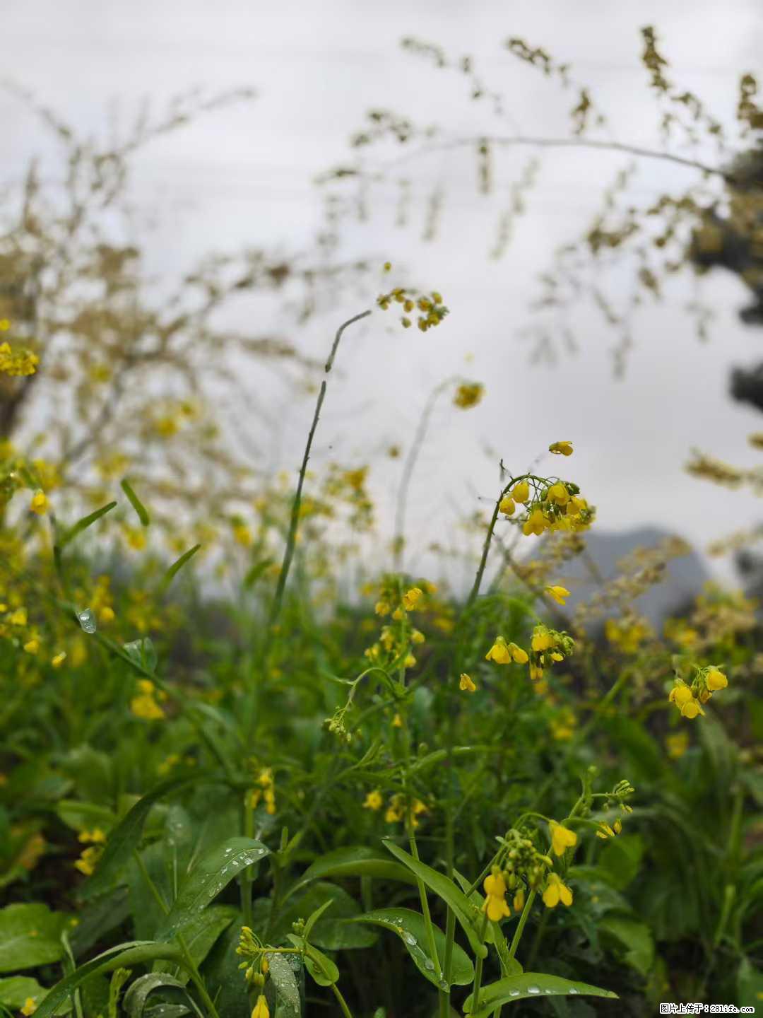 走过红尘岁月，看尽人世繁华，用一种平和恬淡的心境，一颗自由的心，一份简单细致的人生态度，过平静的一生 - 情感天地 - 桂林生活社区 - 桂林28生活网 www.28life.com