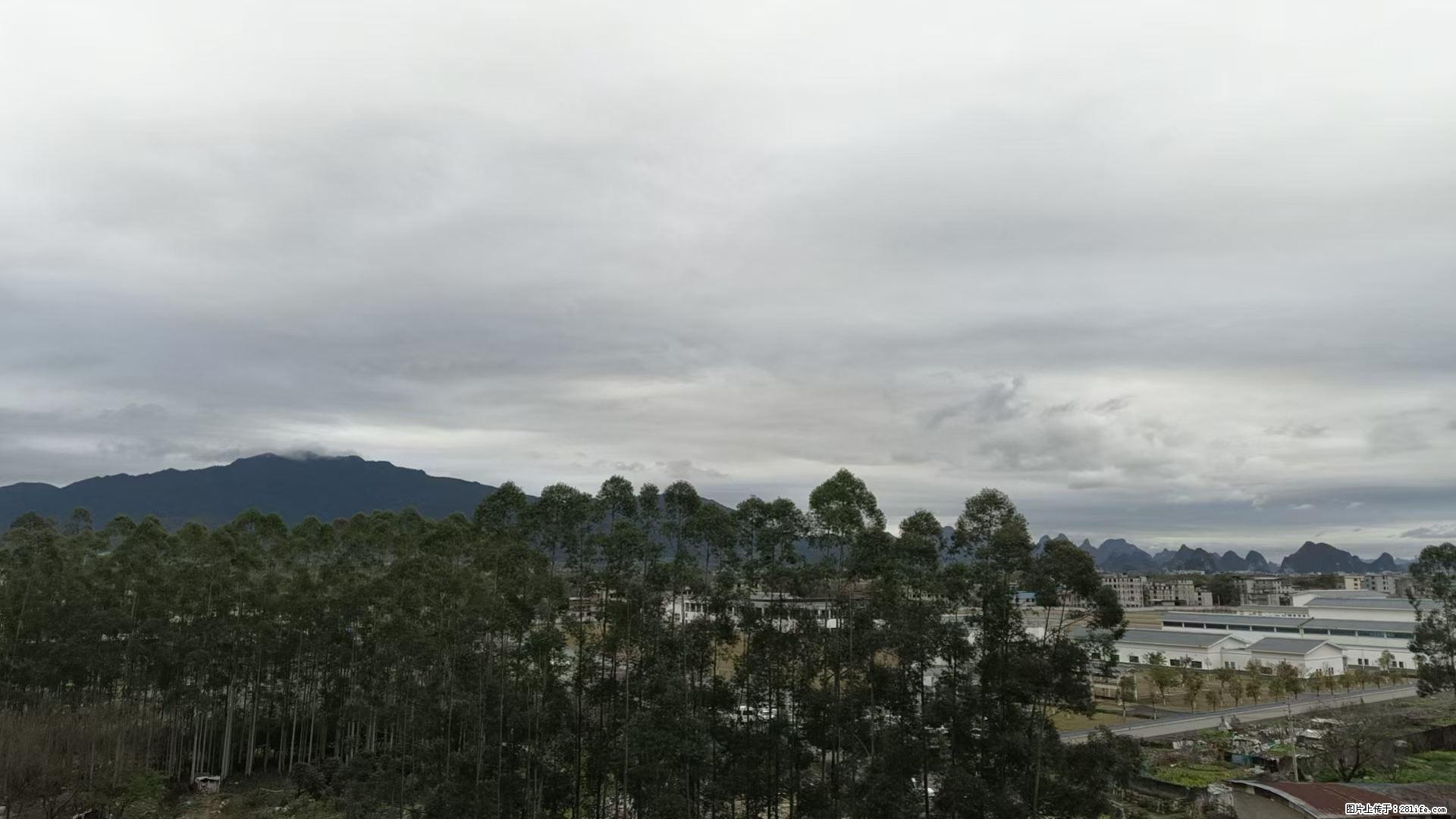 远看，那山，那树开始萌动，近观大地换上了新妆，心开始悸动，嗅着香，空气到处弥漫着春的味道。 - 情感天地 - 桂林生活社区 - 桂林28生活网 www.28life.com