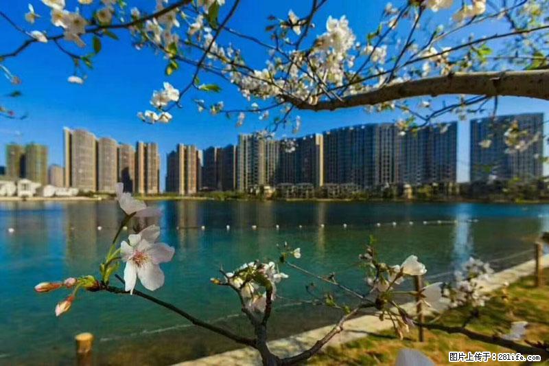 【麓湖国际 · 空中墅】，13楼，一线湖景，209平，毛坯，仅售 69.8万 - 房屋出售 - 房屋租售 - 桂林分类信息 - 桂林28生活网 www.28life.com