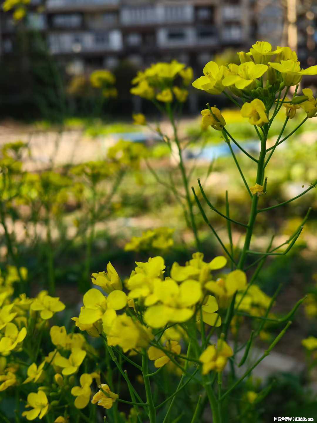 以阳光的心态，走好人生的每一步，你观赏到的，一定是好风景，你感觉到的，一定是花香满径！ - 情感天地 - 桂林生活社区 - 桂林28生活网 www.28life.com