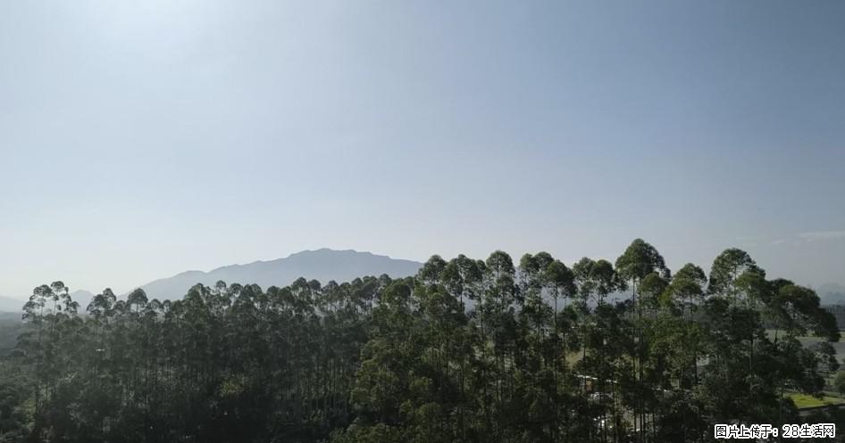 总是喜欢在阳光下眺望远方，贪恋着那抹绿色，仿佛如此双手便握住了岁月，握住了曾经远去的年华！ - 情感天地 - 桂林生活社区 - 桂林28生活网 www.28life.com