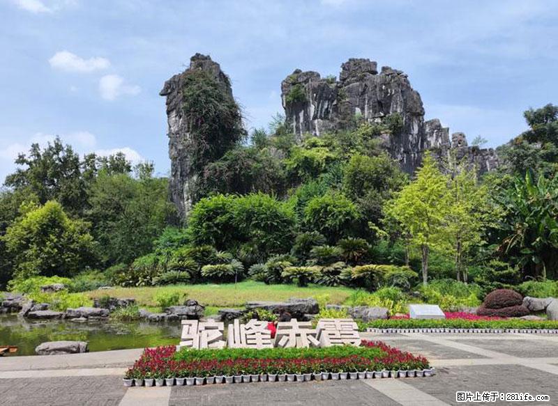 桂林旅游必去十大景点：象鼻山、独秀峰、两江四湖、七星公园、漓江、龙脊梯田、阳朔西街、遇龙河、银子岩等 - 游山玩水 - 桂林生活社区 - 桂林28生活网 www.28life.com