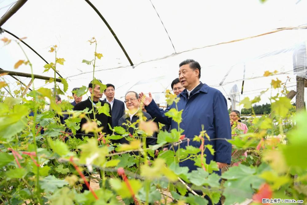 习近平赴广西考察调研 - 桂林生活资讯 - 桂林28生活网 www.28life.com