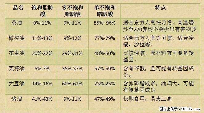 揭秘茶油的5大核心营养成分！被称为人体健康的“守护盾”！ - 桂林生活资讯 - 桂林28生活网 www.28life.com