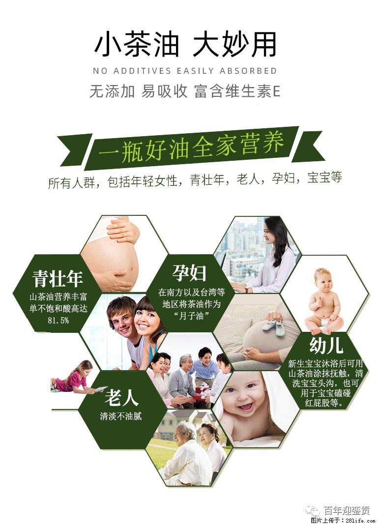 世界没有真相,只有认知,最好的食用油是中国的山茶油! - 桂林生活资讯 - 桂林28生活网 www.28life.com