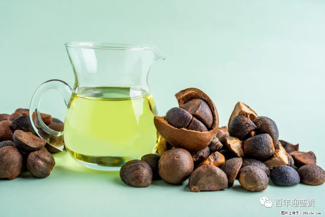 世界没有真相，只有认知，最好的食用油是中国的山茶油！ - 桂林生活资讯 - 桂林28生活网 www.28life.com